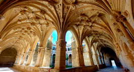 Villa Romana La Olmeda
