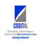 logo cosital